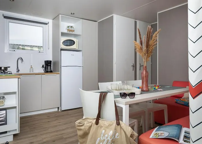 Mobil Spacieux, Terrasse, 3 A Saint-hilaire-de-riez - Api-1-52-966 圣伊莱尔·德列